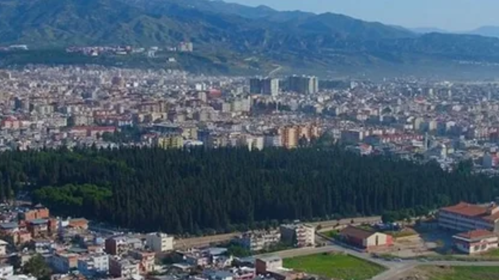 AYDIN EFELER BADEMLİ KÖYÜNDE 500 M² ARSA SATILIKTIR. - AYDIN EFELER fotoğraf 12